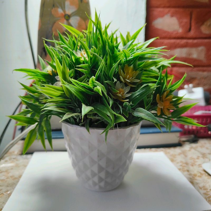 Decorative Flower Pot (Plastic Plant)