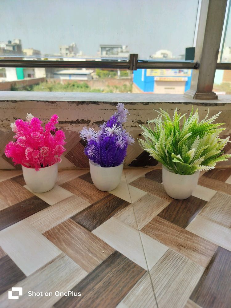 3 Piece Artificial Plants