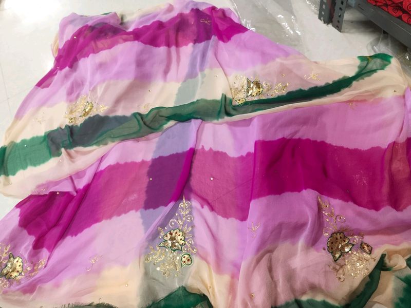 Rajputi Multi Saree