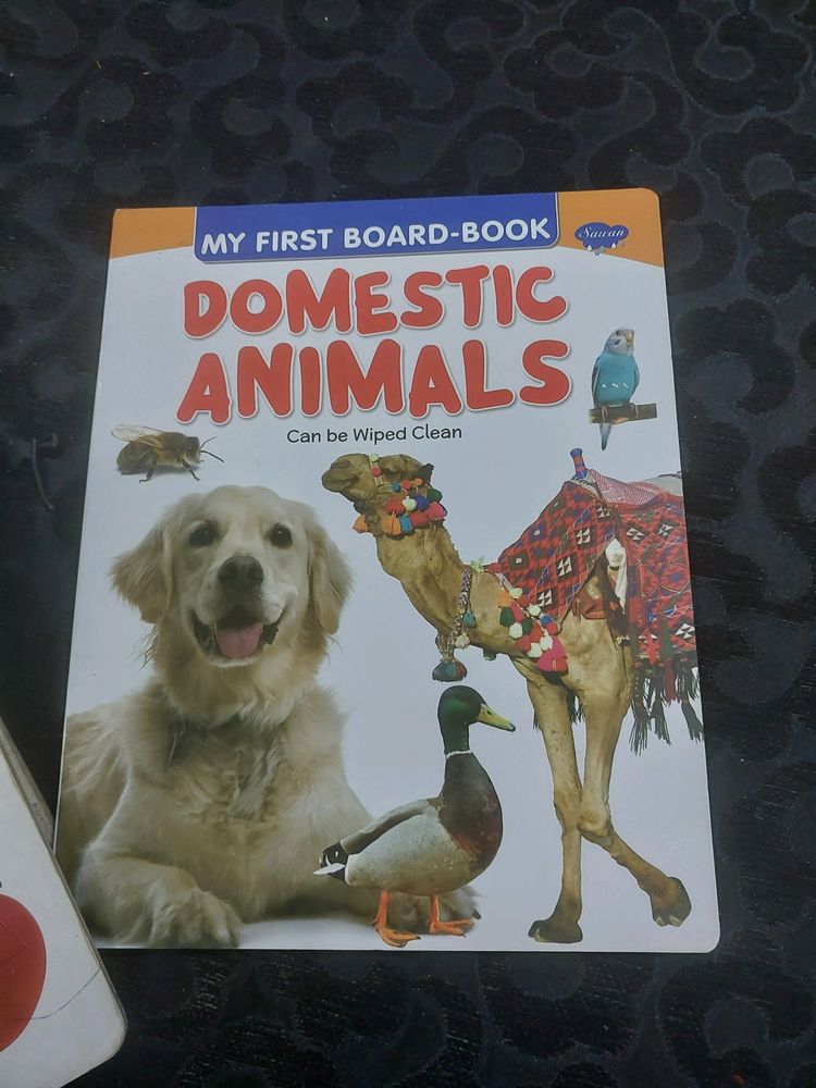 BOARD BOOK (DOMESTIC ANIMALS)