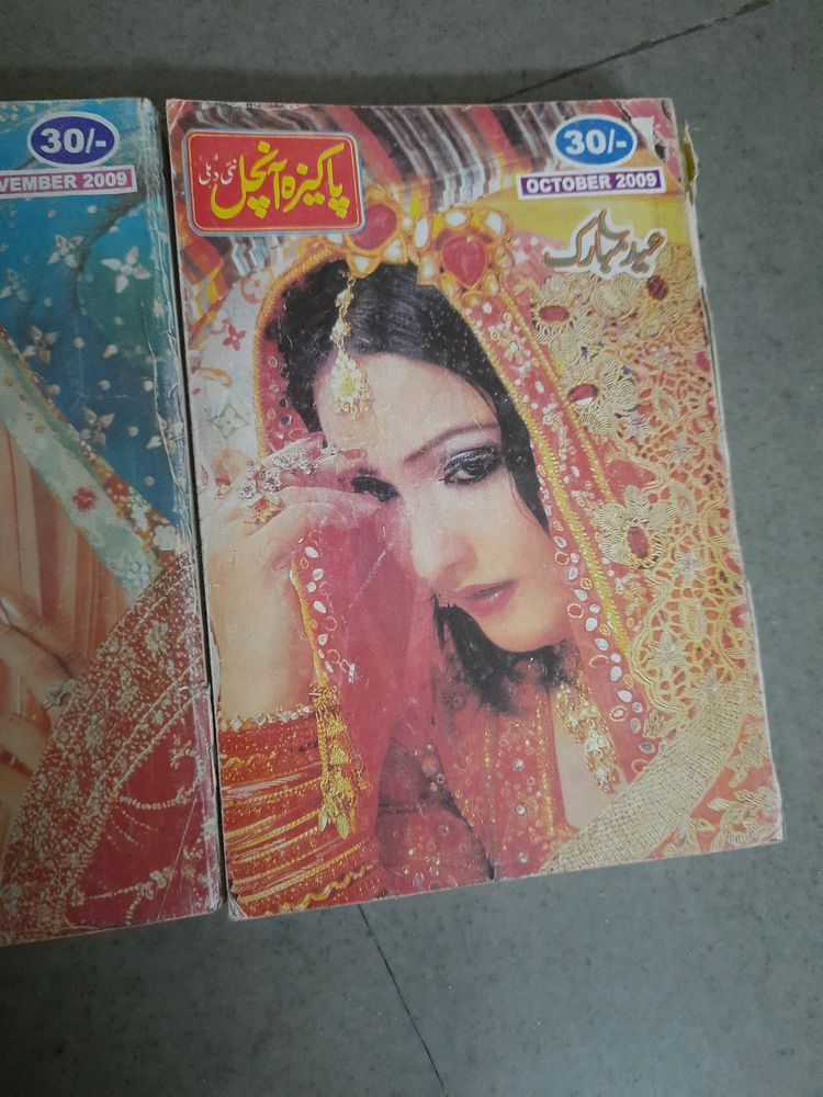 Urdu Novel