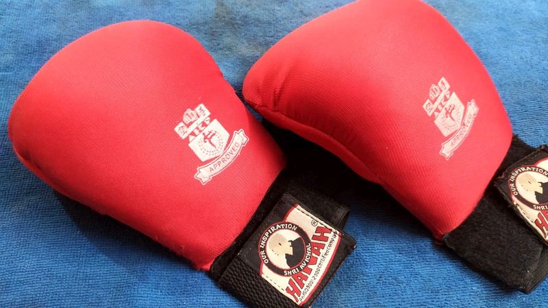 Red Pair Of Karate Gloves