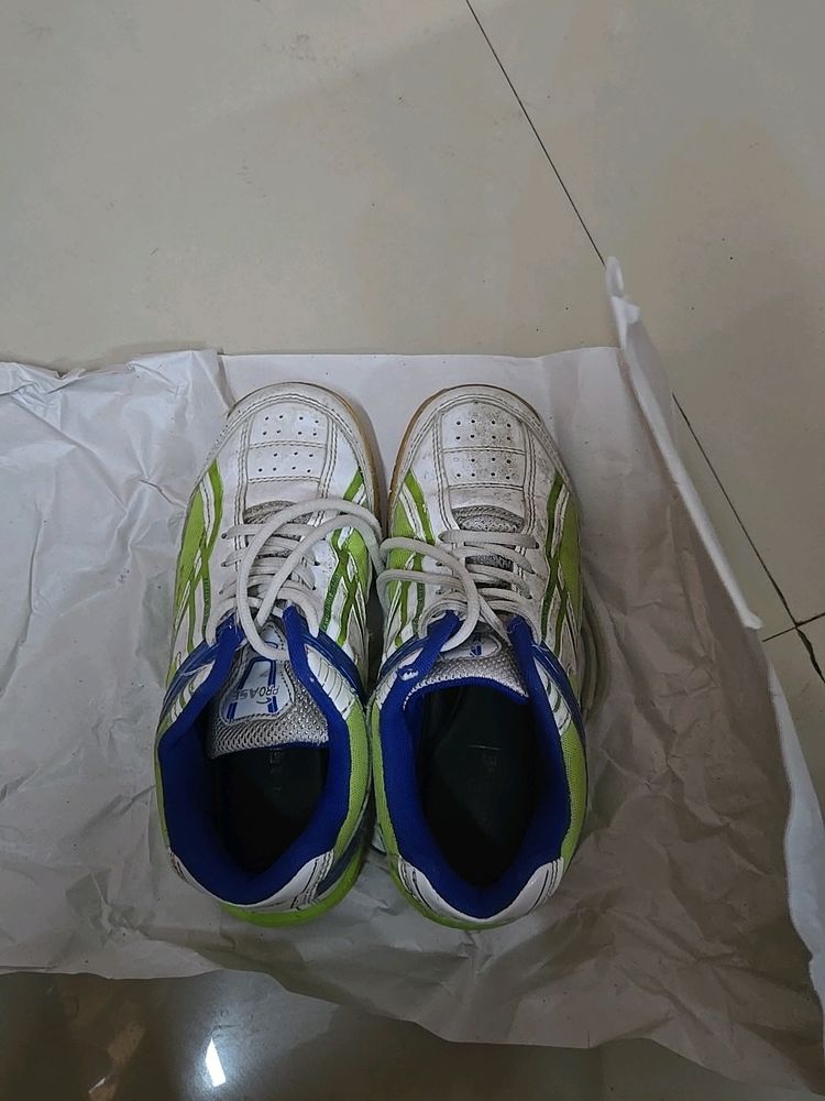 Branded Sports Shoes