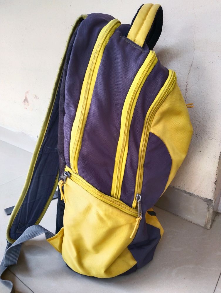 American Tourister Bagpack