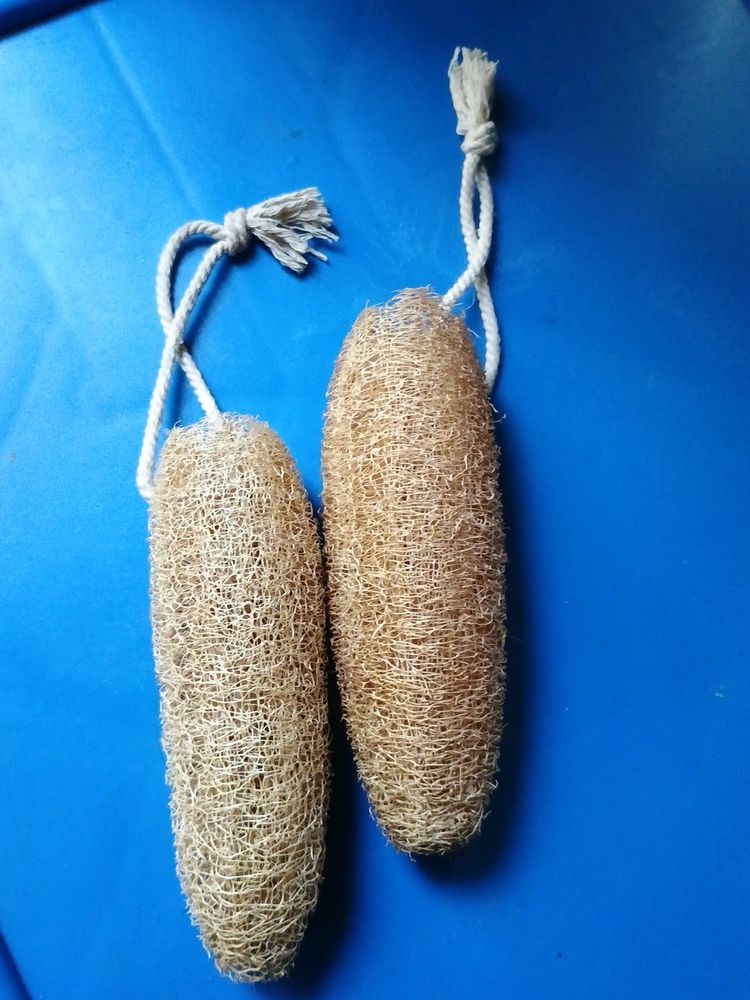 Natural Loofah -2