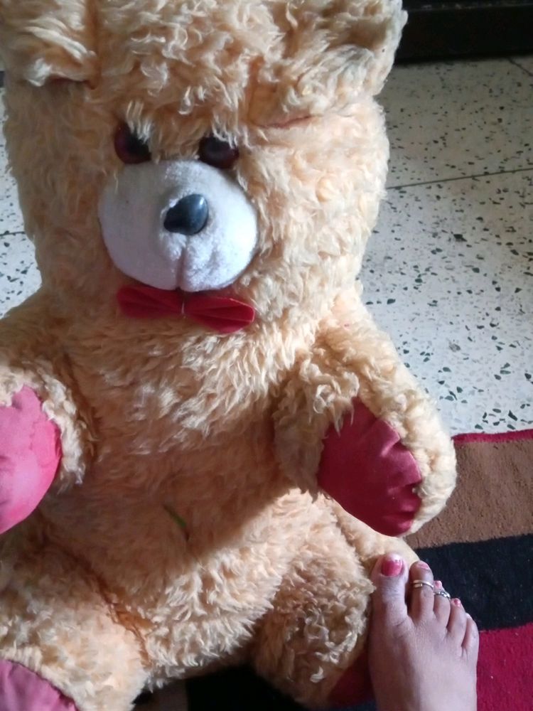 Teddy Bear 🧸🧸