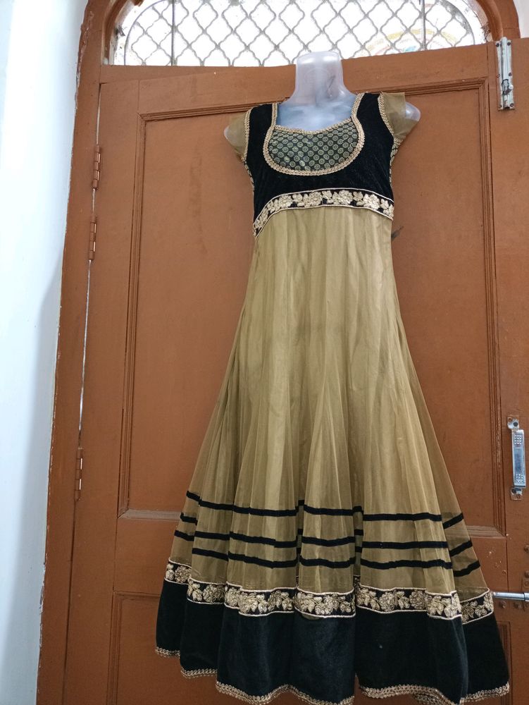 Net Anarkali