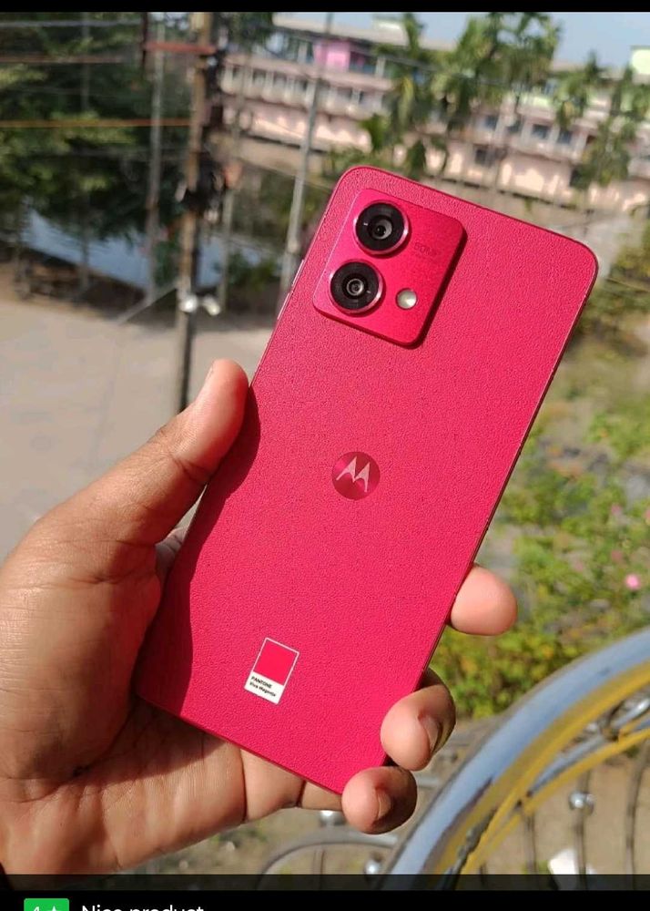 Motorola G84 5g (Viva Magenta, 256GB)