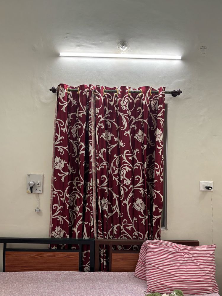 Maroon Curtains