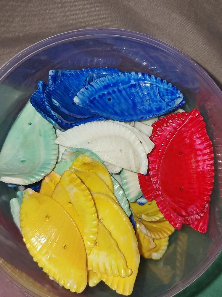 Colourful Shells