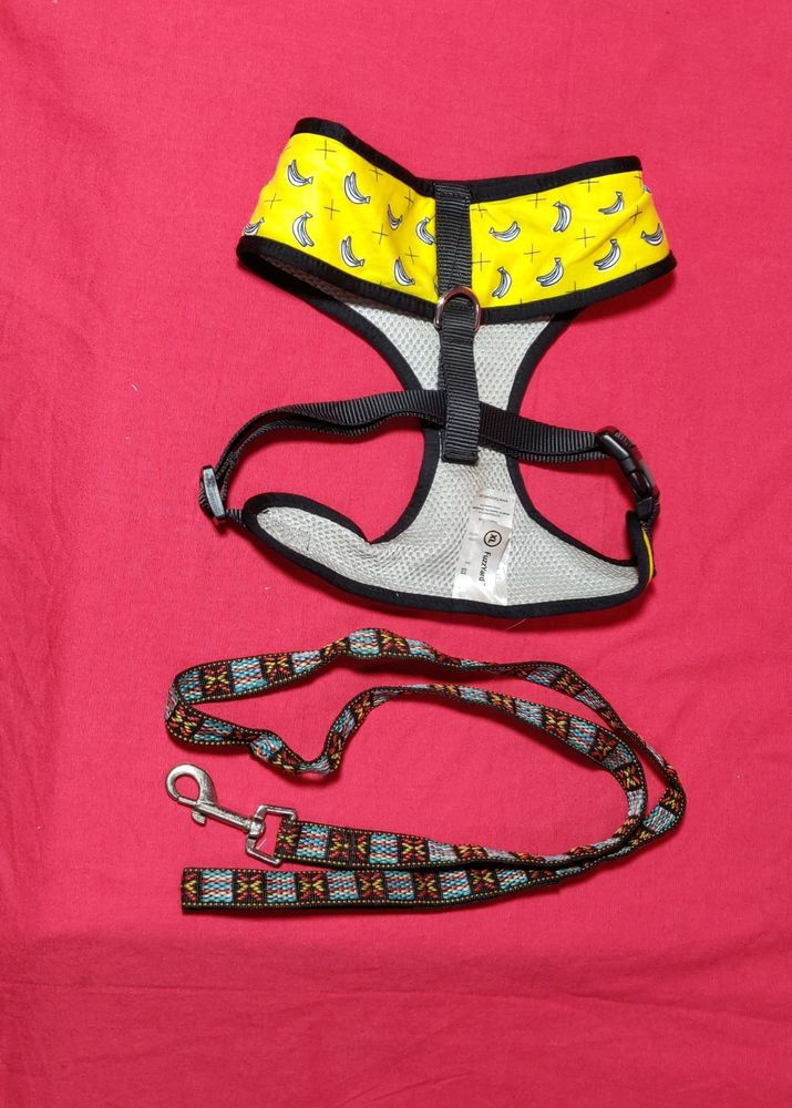 Dog Belt Size XL