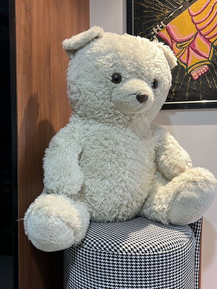 Big Size Teddy 🧸