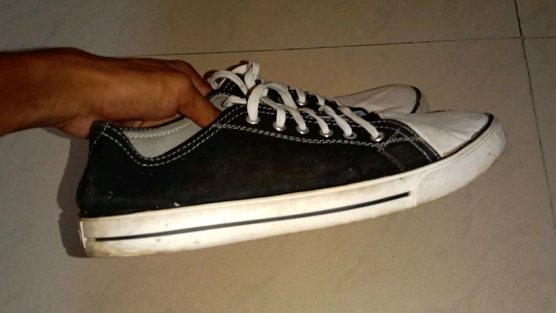 Converse Copy Slightly Used