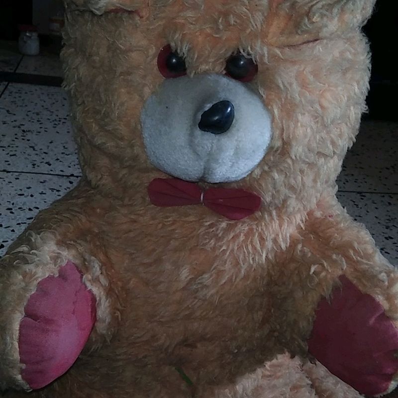 Teddy Bear 🐨🐨🐨