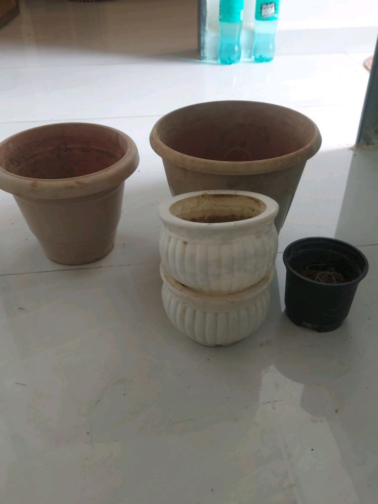 Pots For Plant