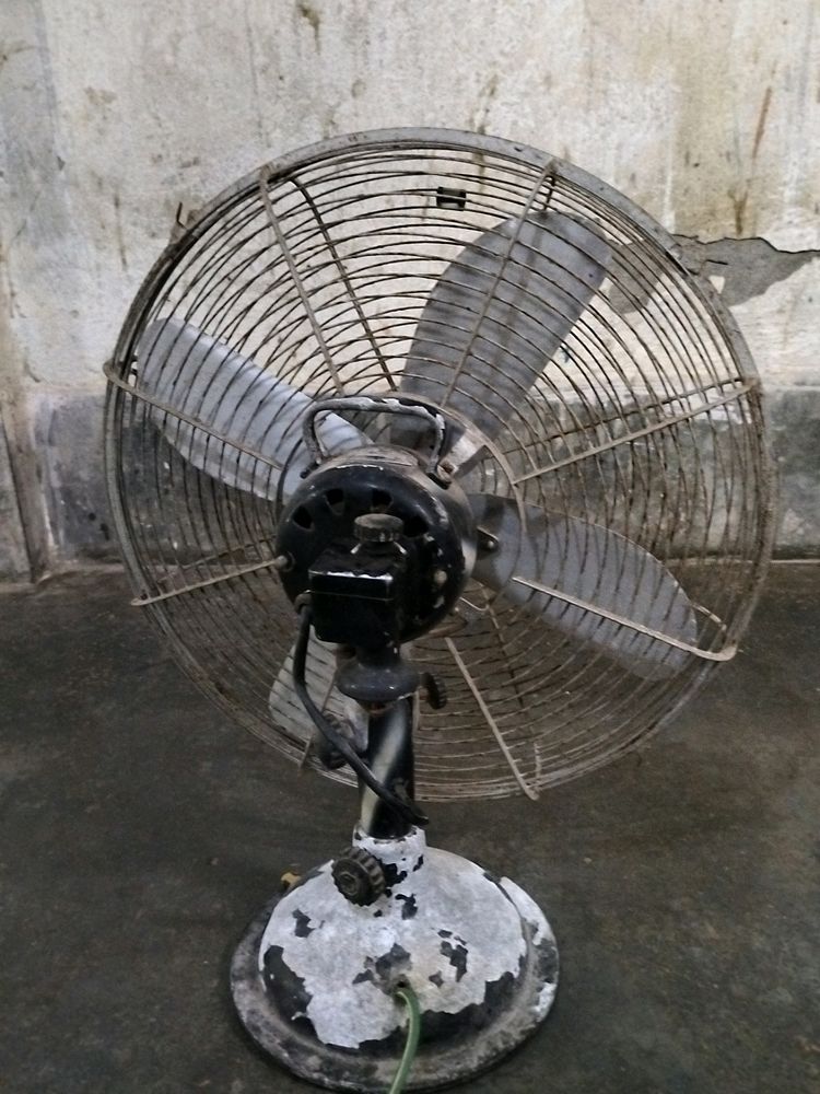 Cinny Table Fan