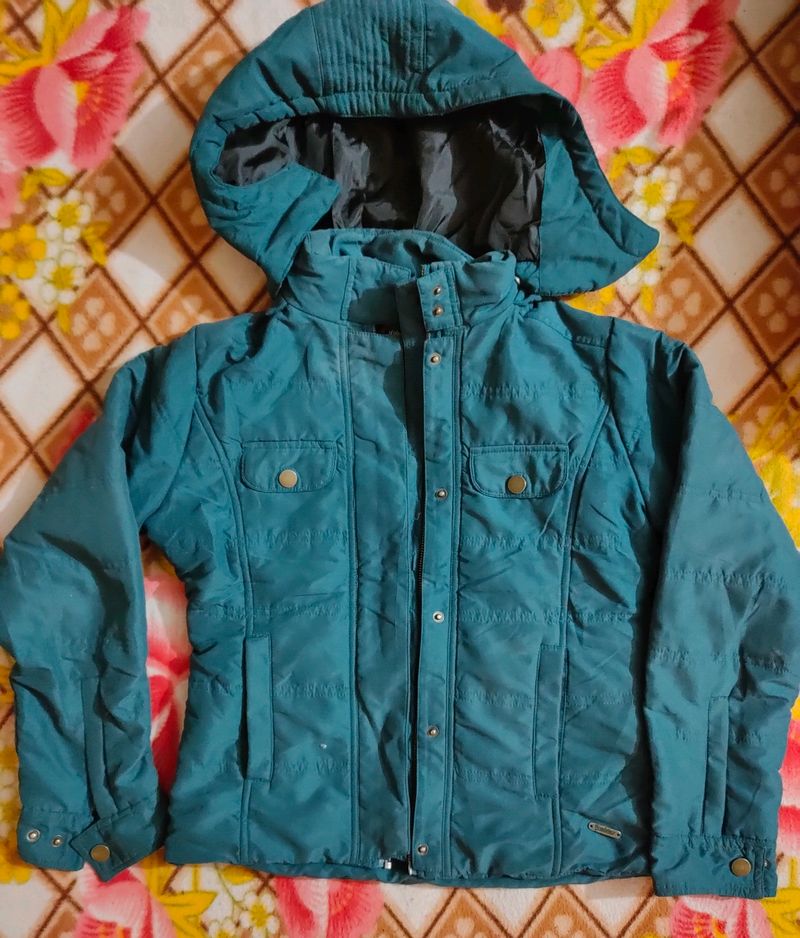 Roadster Women Teal Solid Hooded Puffer Jacket