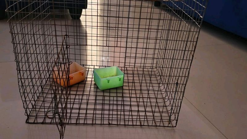 Small Bird Cage