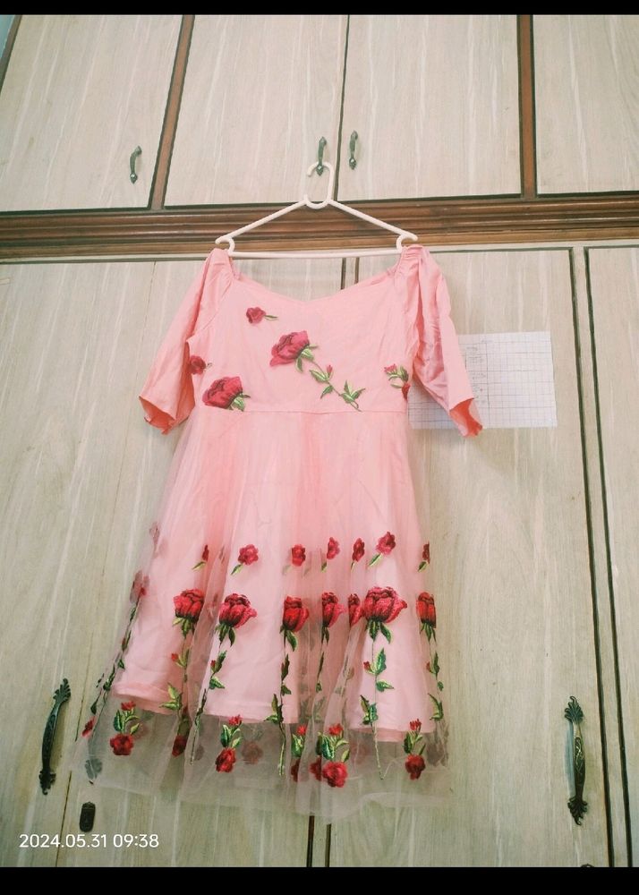 Gorgeous Embroidery Dress