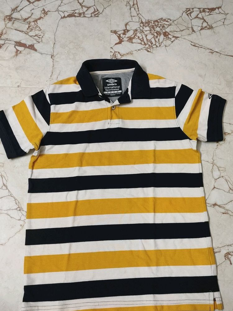 Striper Polo Tshirt