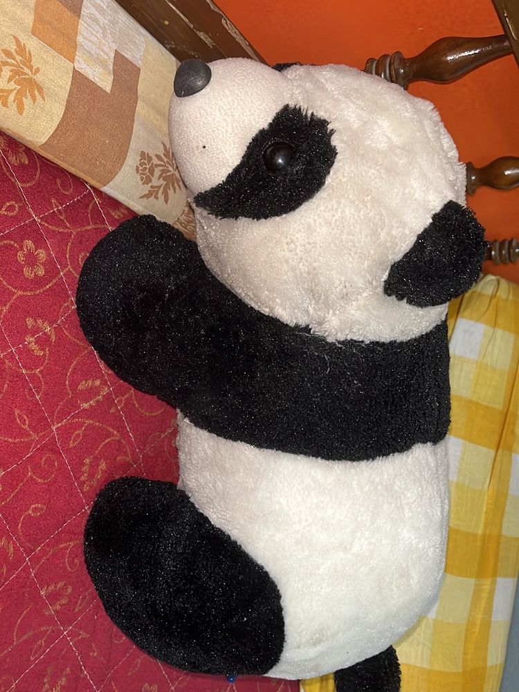 A Medium Size Panda