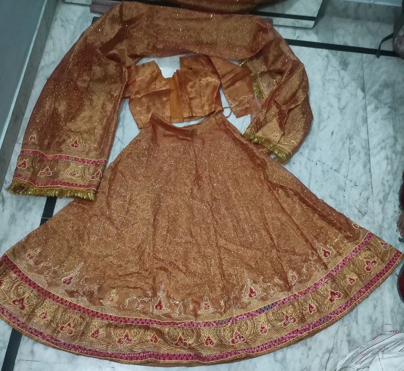 Fully Emroidered Lehnga Choli & Heavy Dupatta