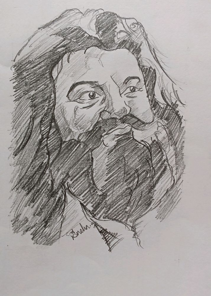 Harry Potter Hagrid Potrait Drawing