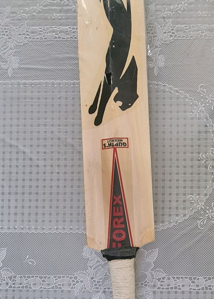 SH Cricket Bat