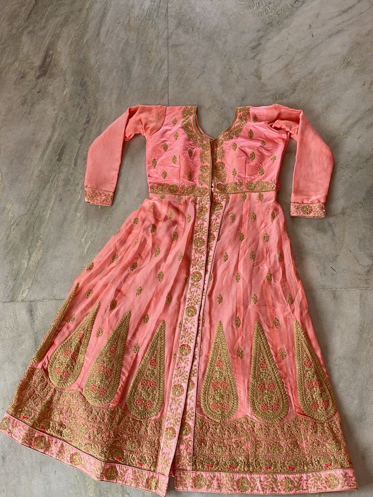 ethnic heavy gown / embroided