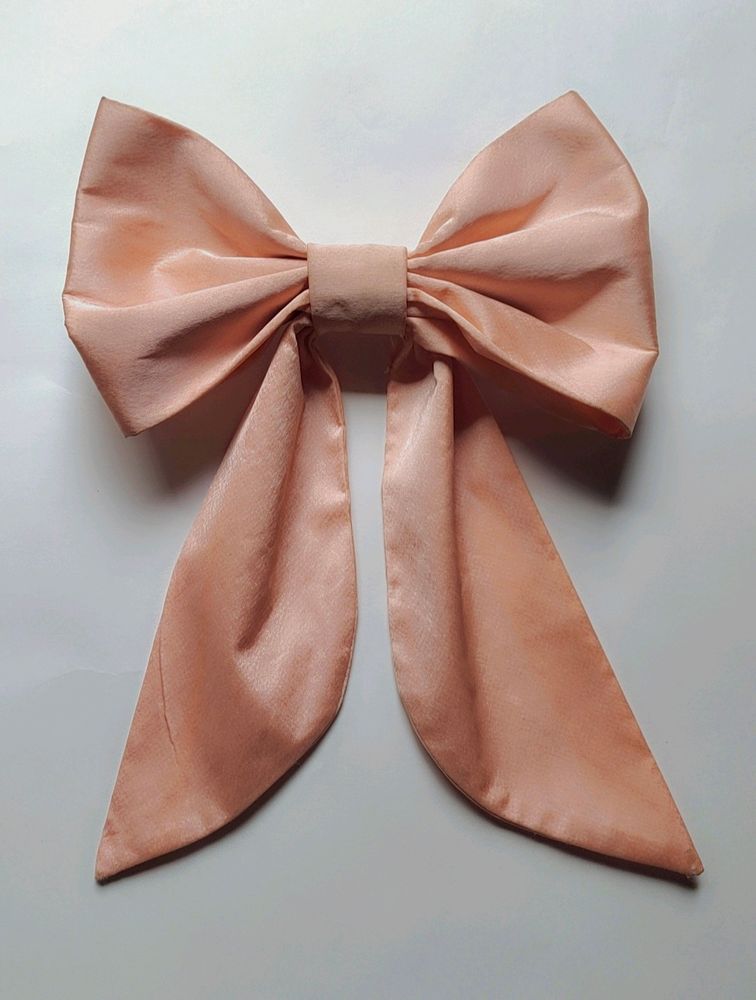 A Cute Bow Clip