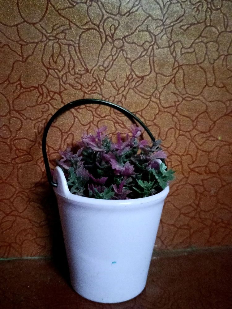 This Is Small Bucket With A Pink And Purple Colour