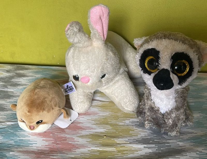 kids Soft Toys