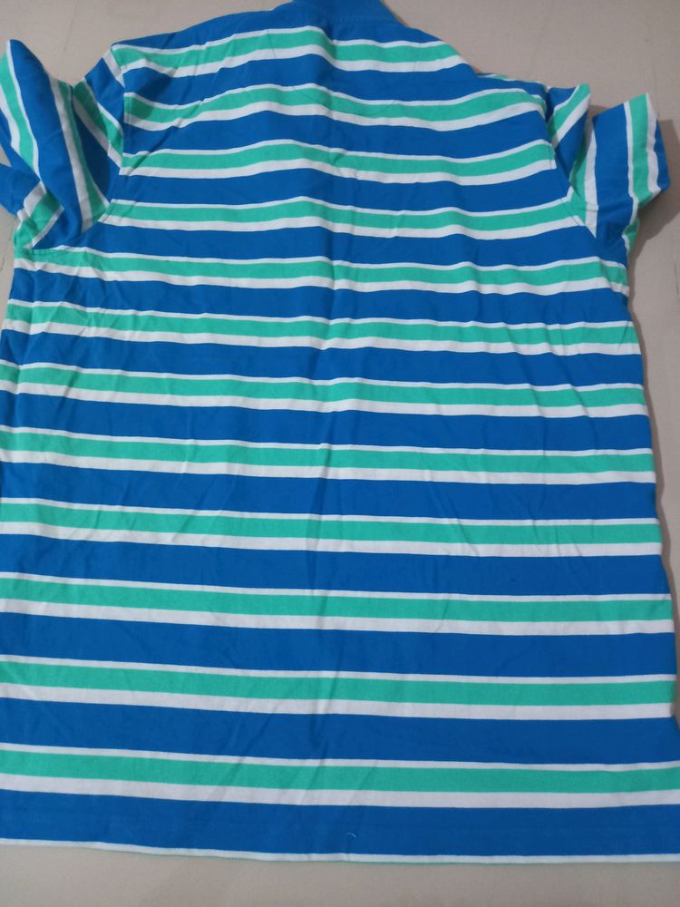 Blue Stripes T Shirt For Men