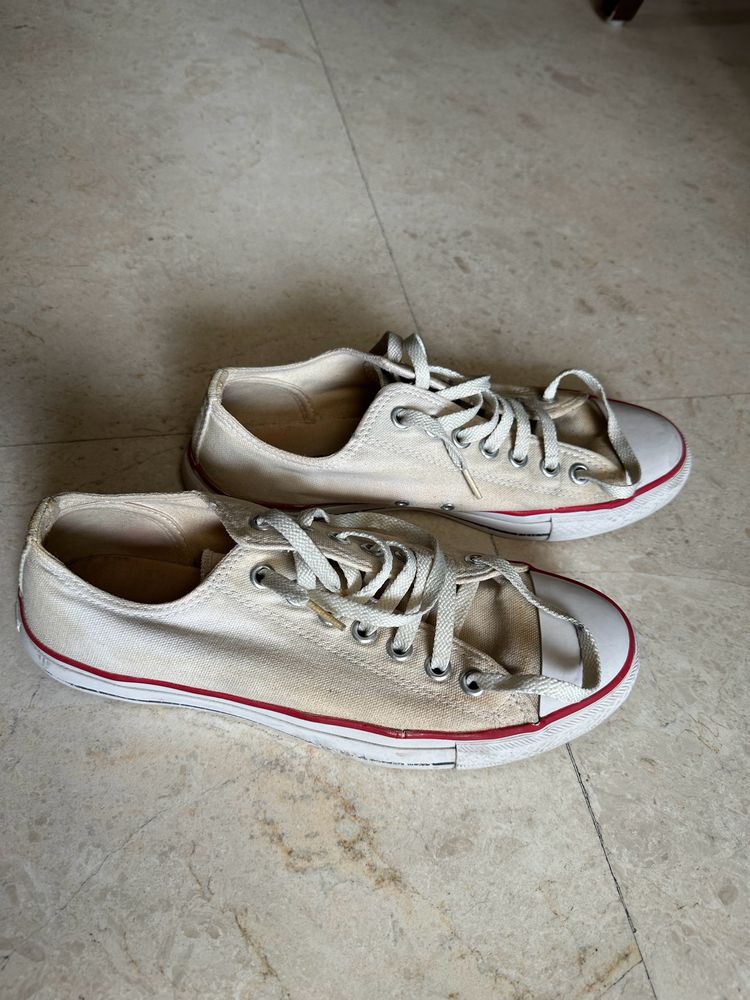 Converse White Shoes