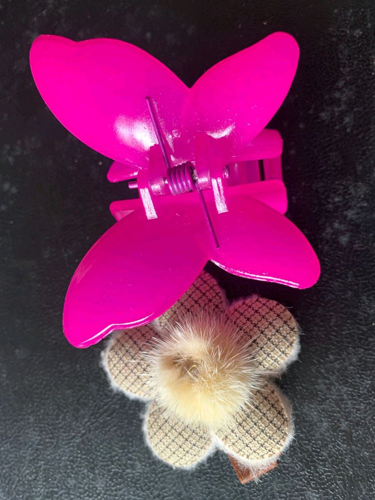 Butterfly Clip And Hair Accessory