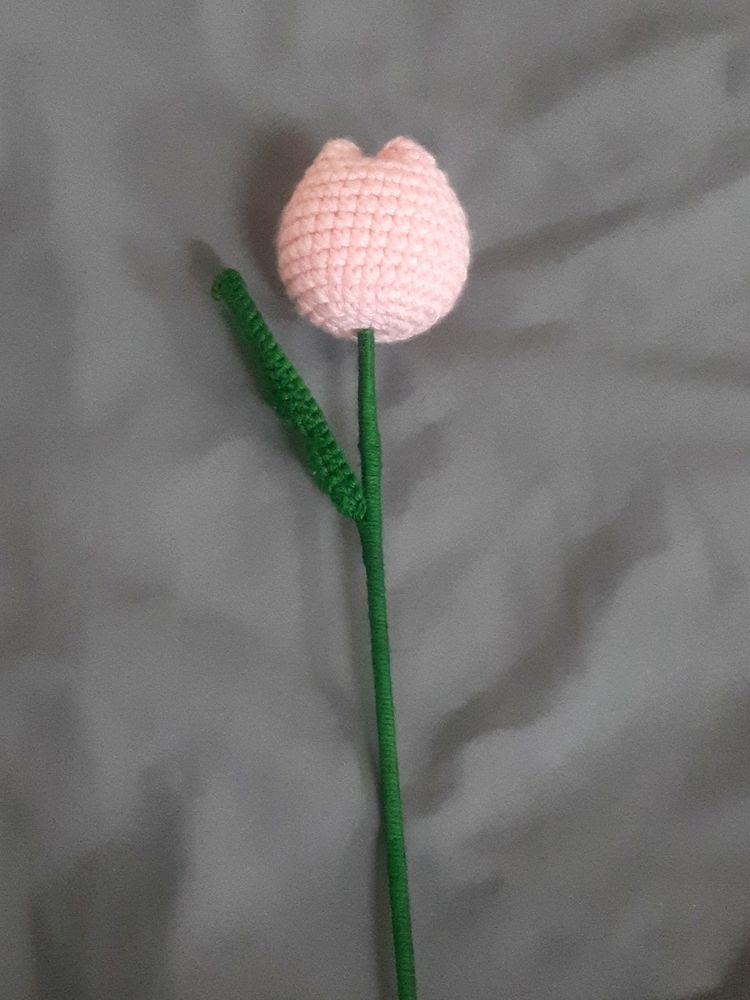 Pink Crochet TULIP