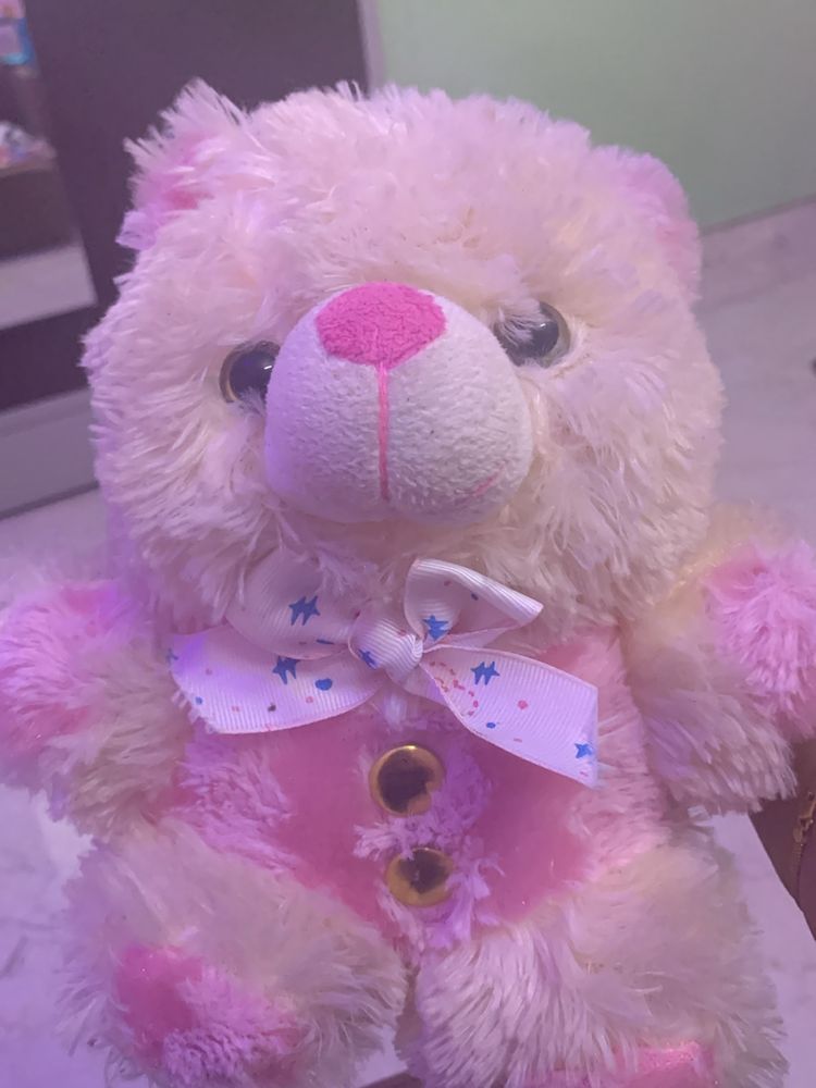 🎀Teddy Bear Pink🎀