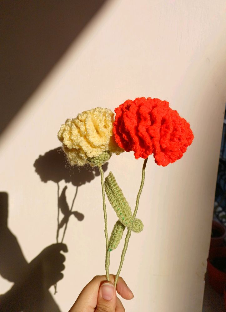 Cute Crochet Carnation Flowers 💐✨️