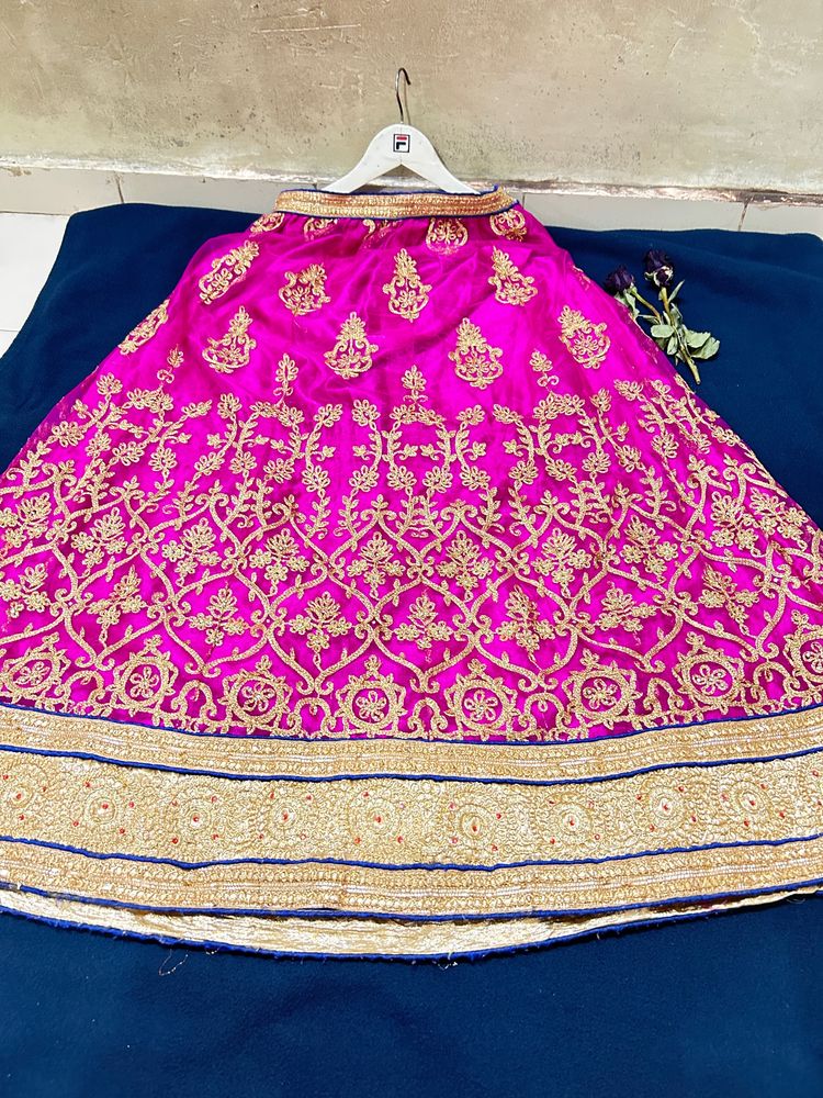 a beautiful lehenga choli