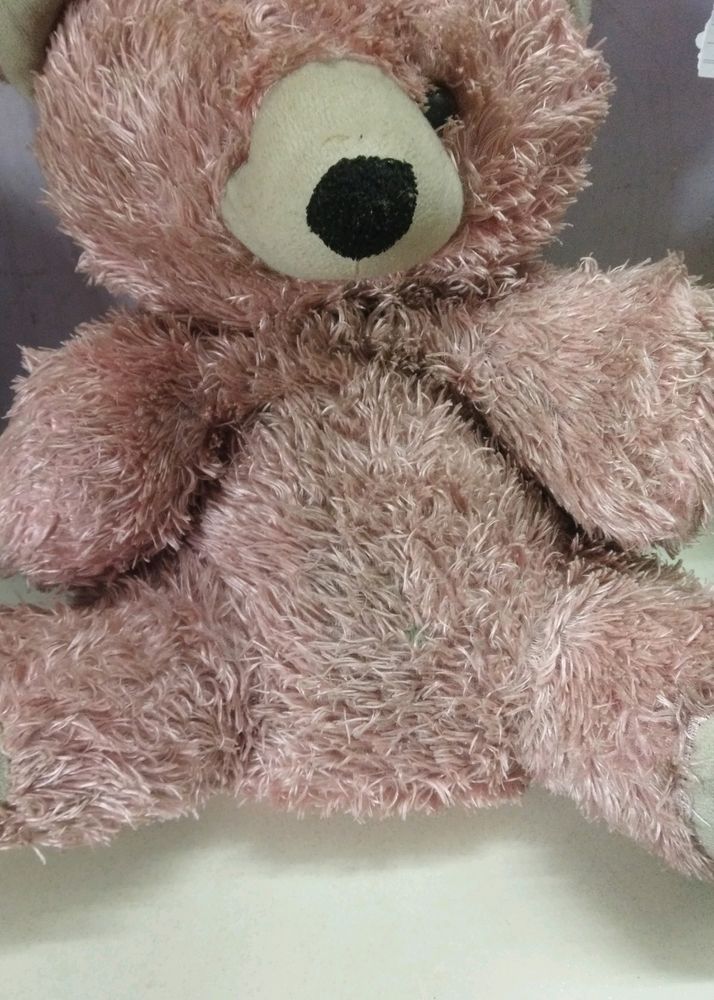 Teddy Bear Soft Toy