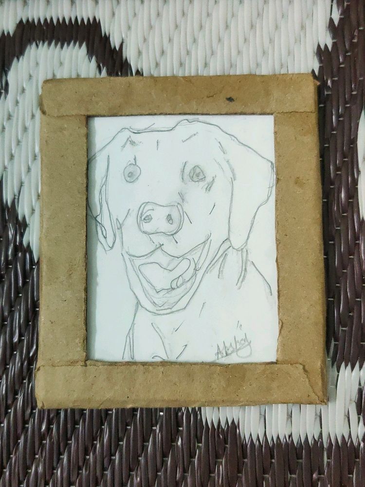 Sketch Of Golden Retriever Dog