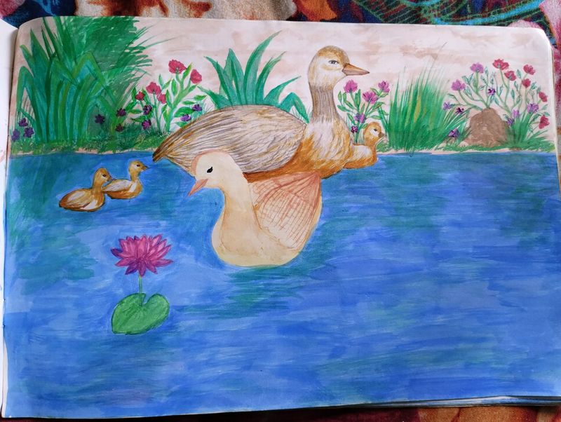 Wild Duck Pond Painting (Sheet)