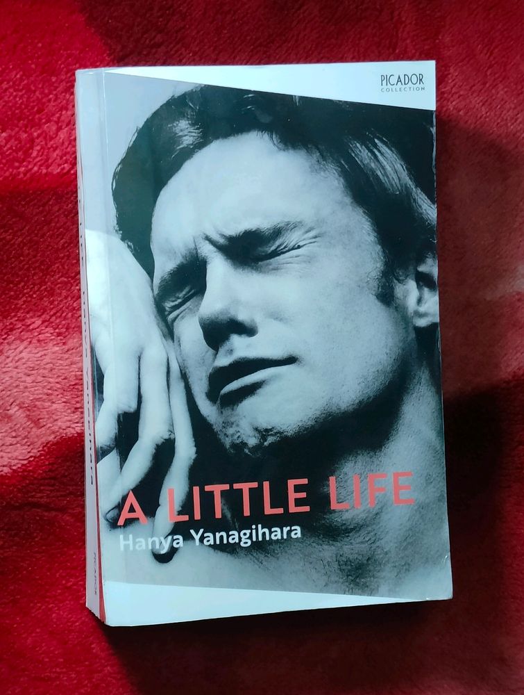 [PRICEDROP] A Little Life Book (BRAND NEW)