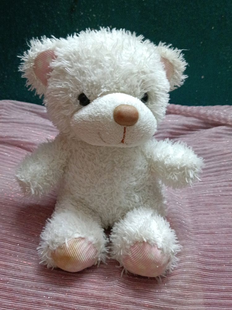 Teddy Soft Toy