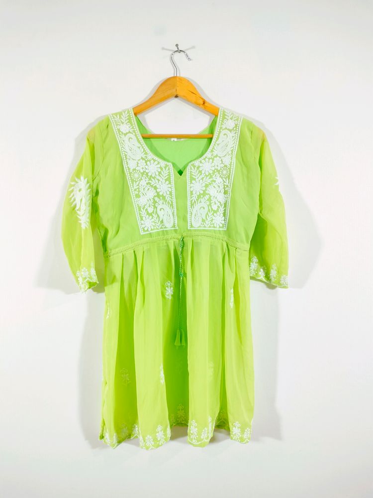 Chikankari pastel green Kurti Or Top