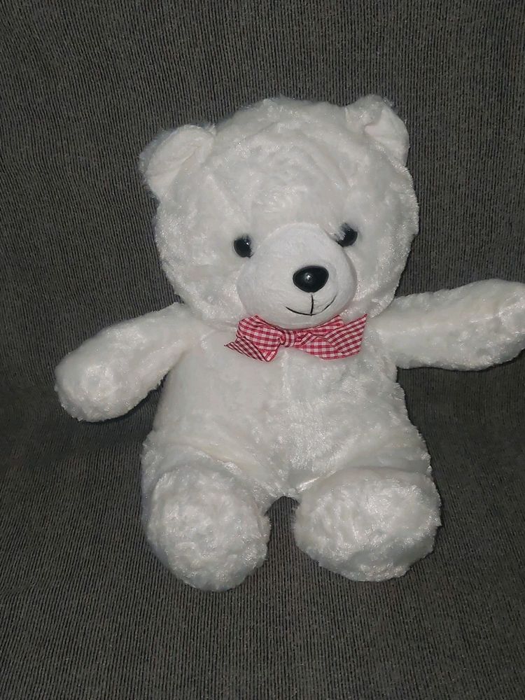 White Teddy Bear