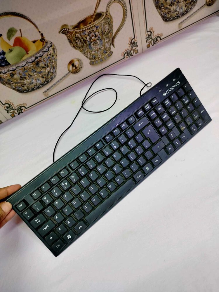 Zebronics Full Working Wired Keyboard.