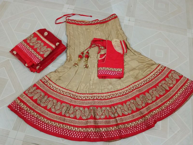 Beautiful Lehenga Choli