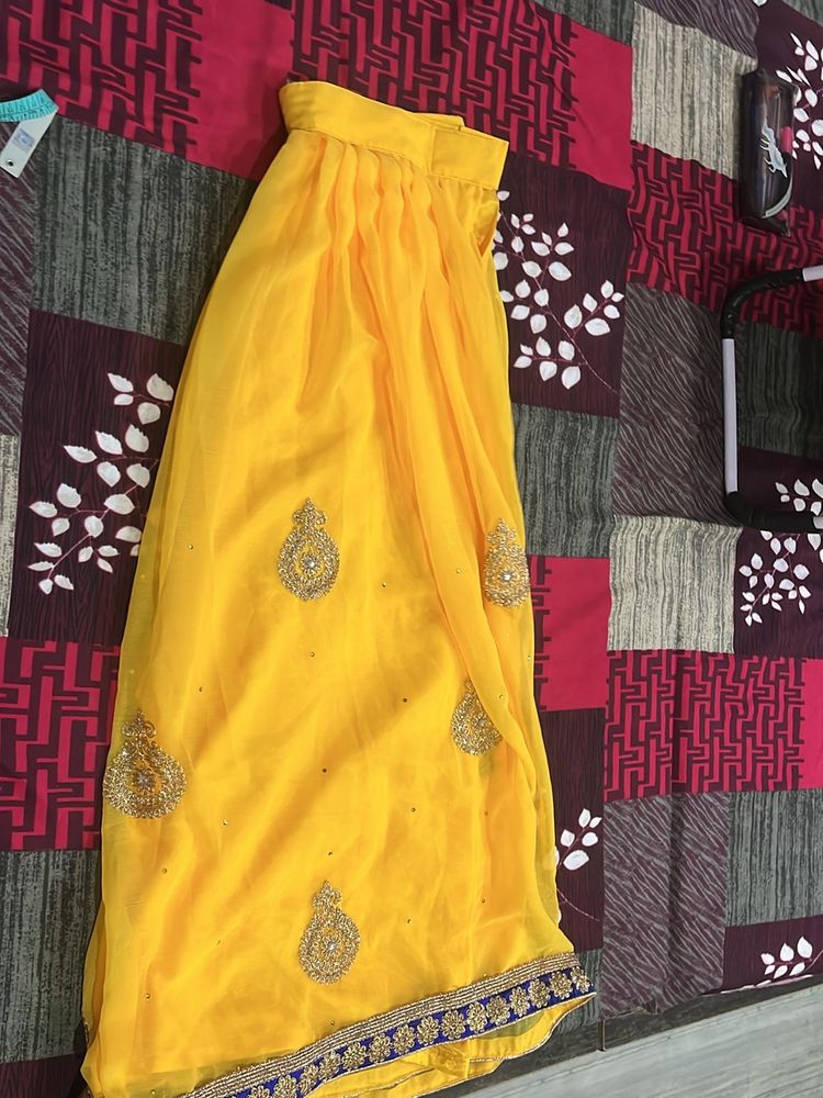 Beautiful Embroidered Ethnic Skirt