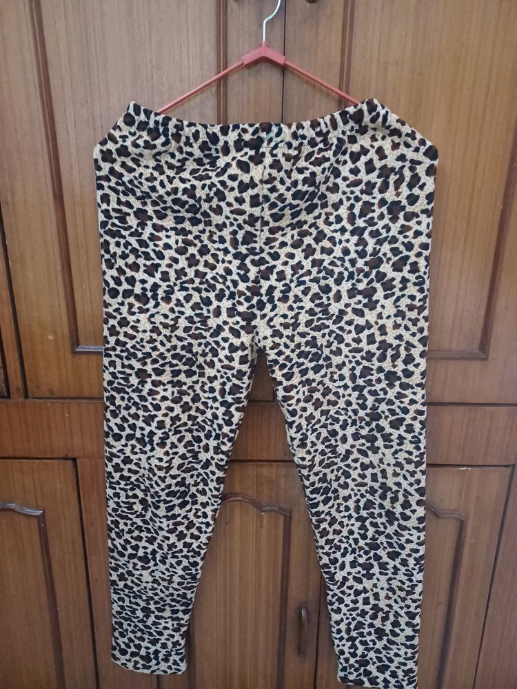 Totally New Beautiful Woolen Tiger Print Jegging